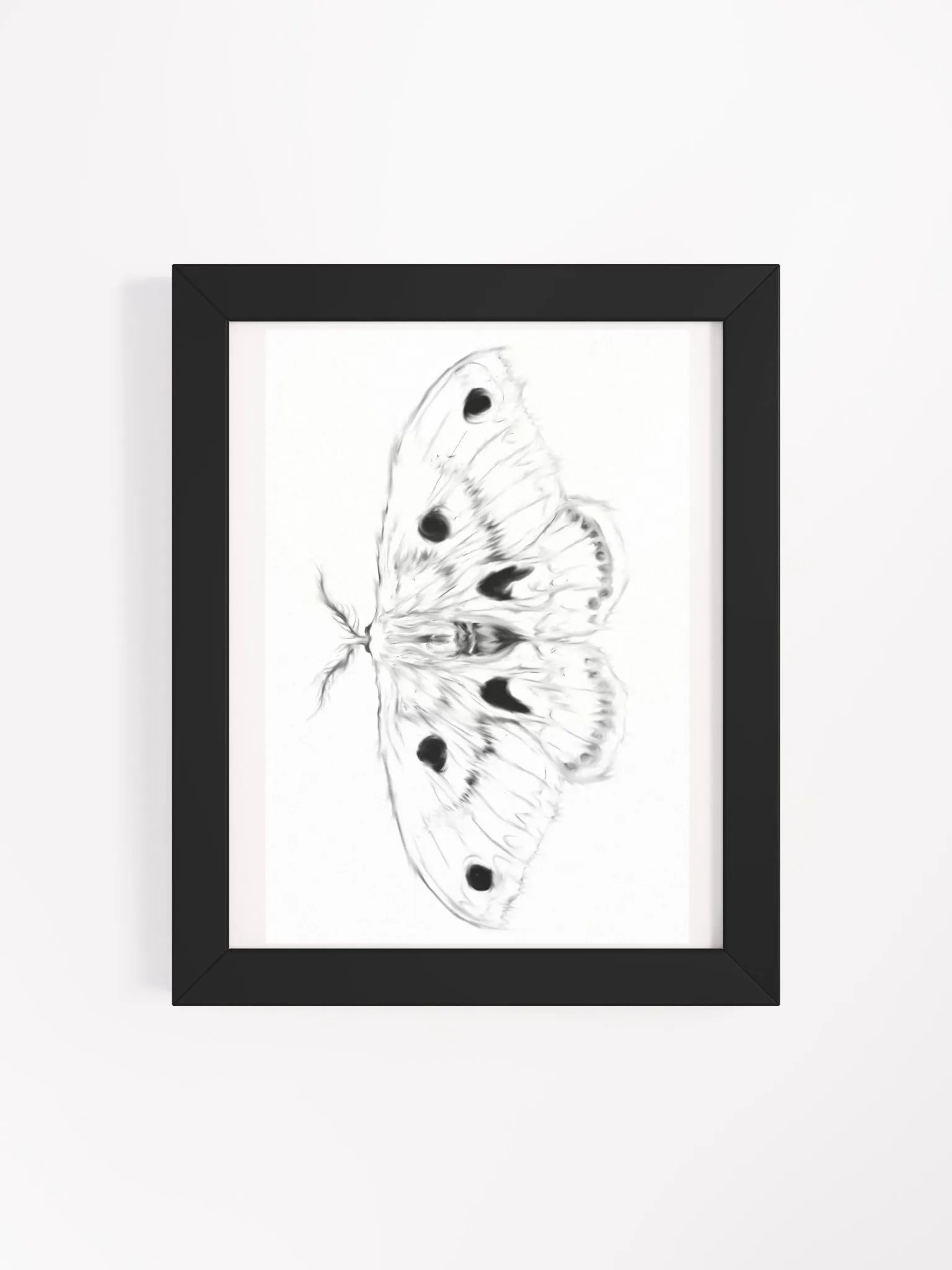Cecropia Moth Print product image (15)