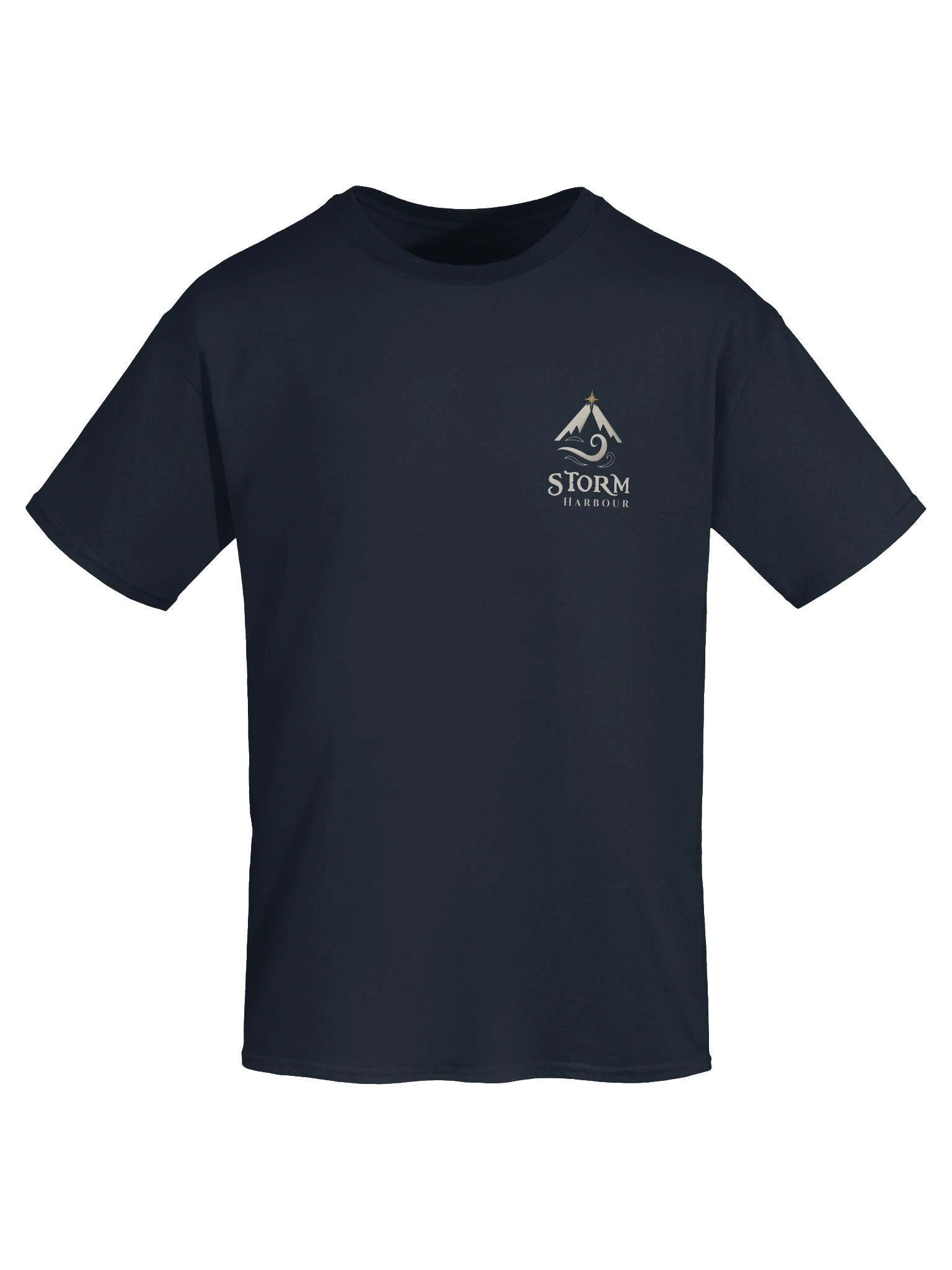 Storm Harbour Heavyweight Logo Tee product image (25)