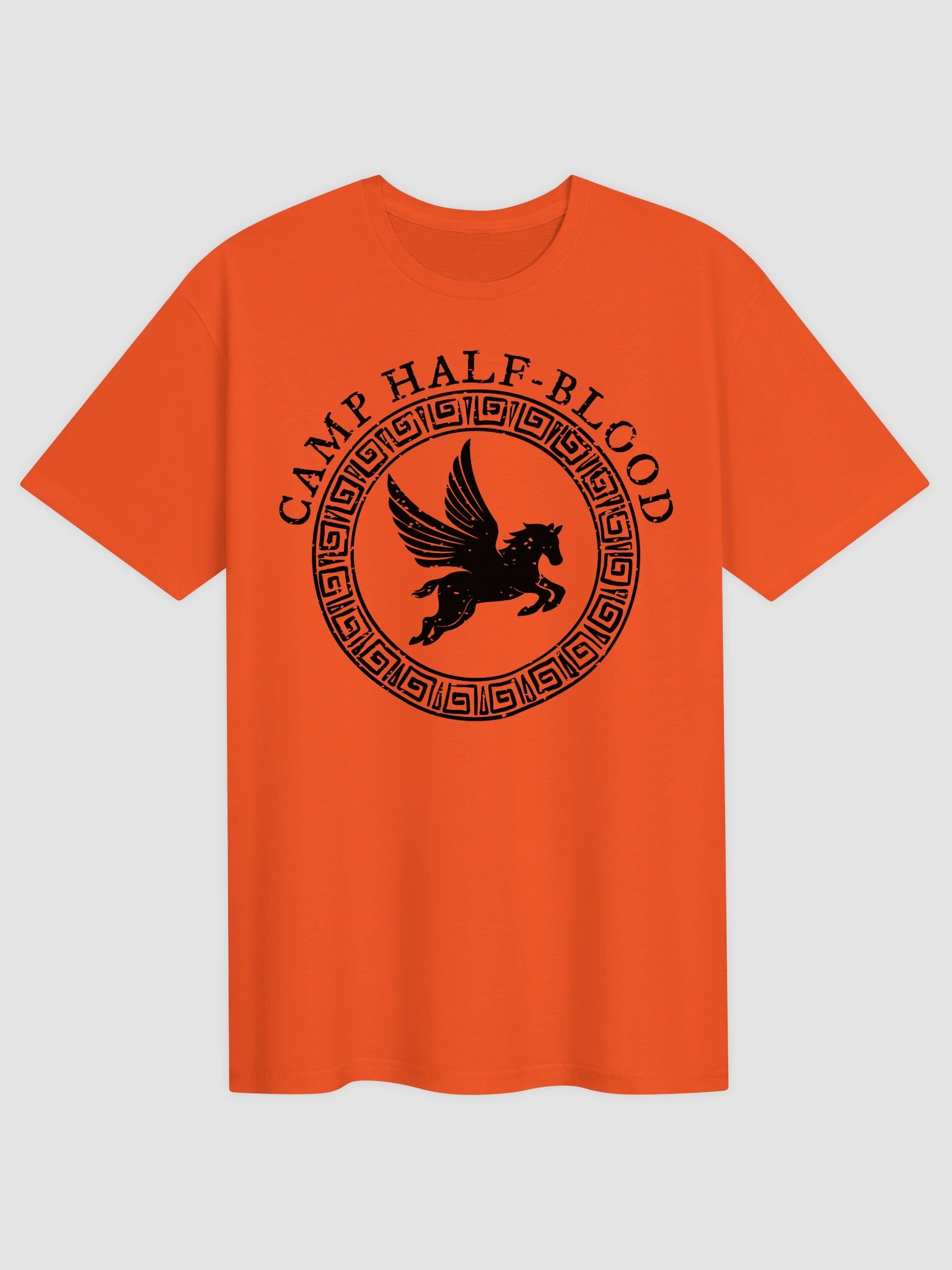 Percy Jackson CHB Shirt product image (1)