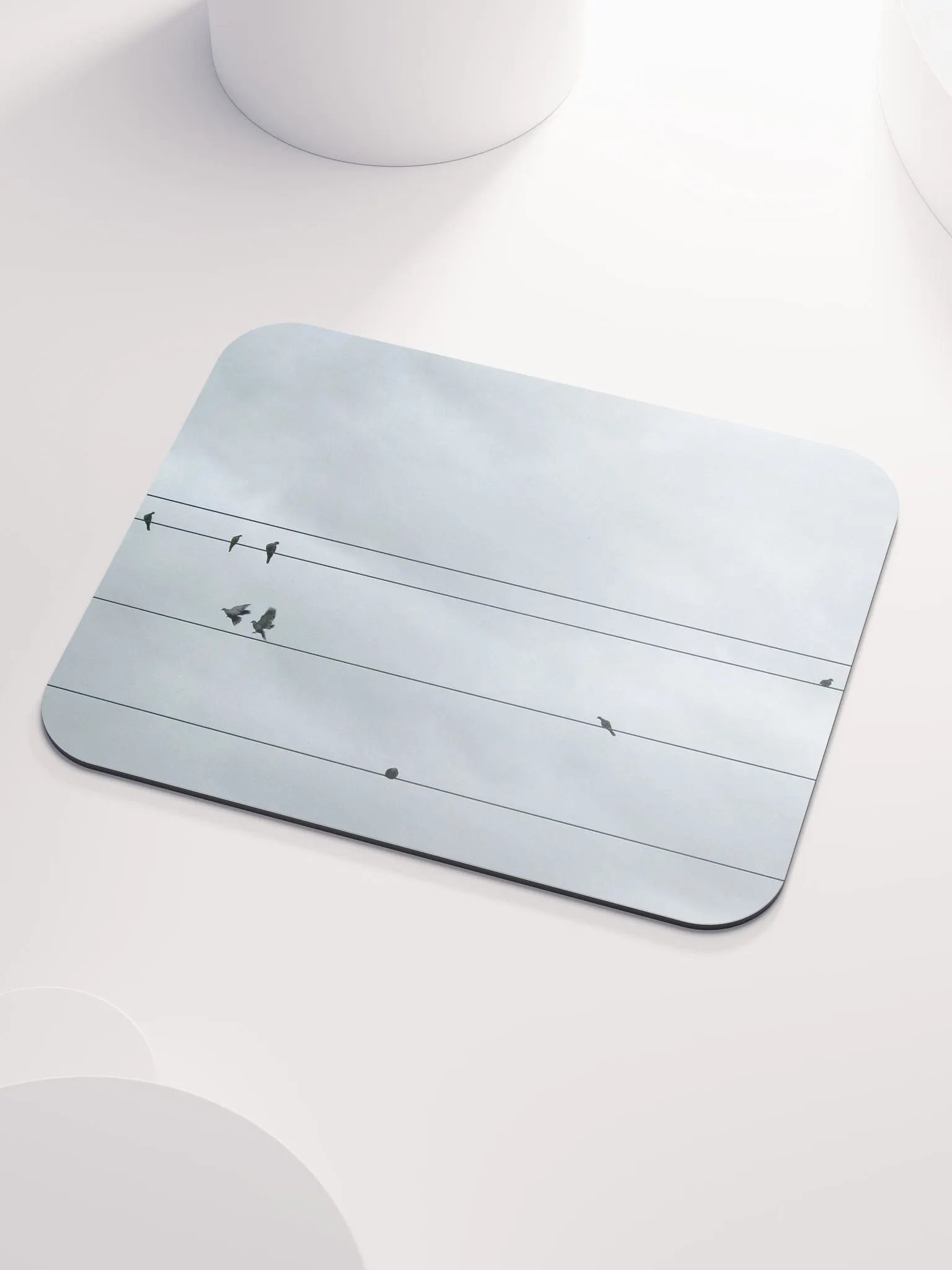 Bird Power product image (3)
