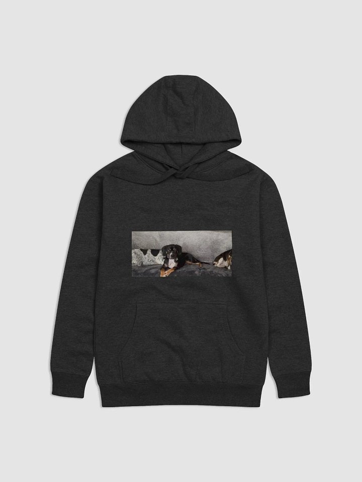 Sir loon Puppy Photo Hoodie product image (1)