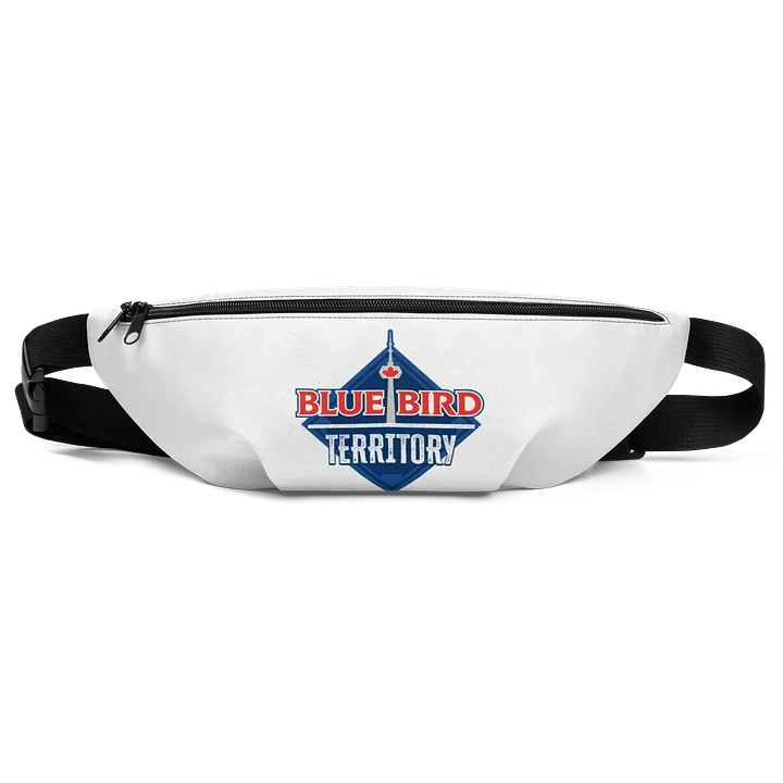 White Fanny Pack product image (1)