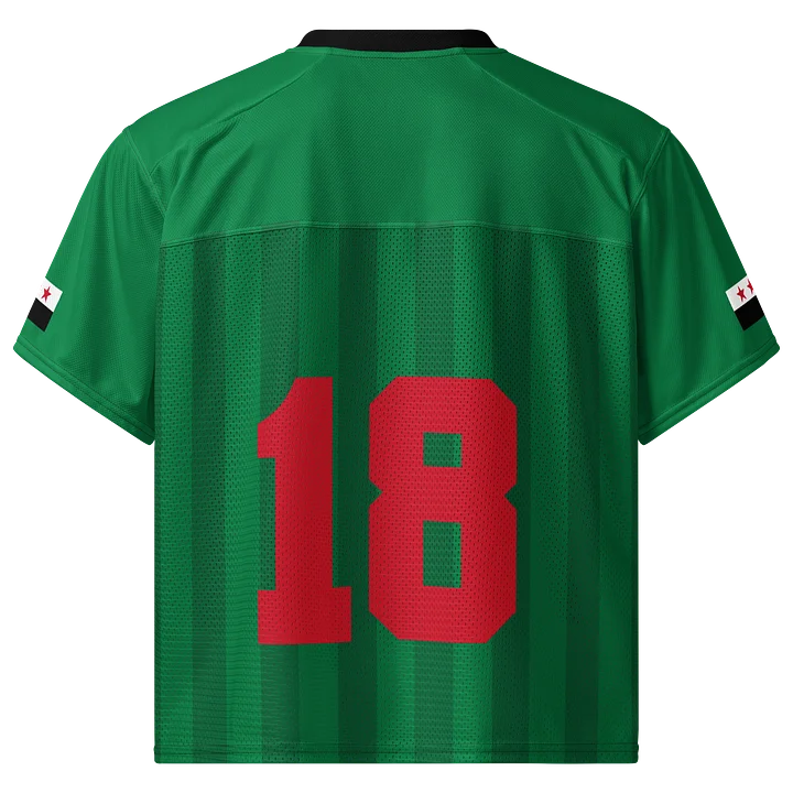 Syria Boxy Sports Tee product image (2)