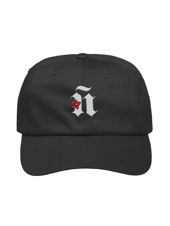 Ñ Gorra Bordada product image (1)