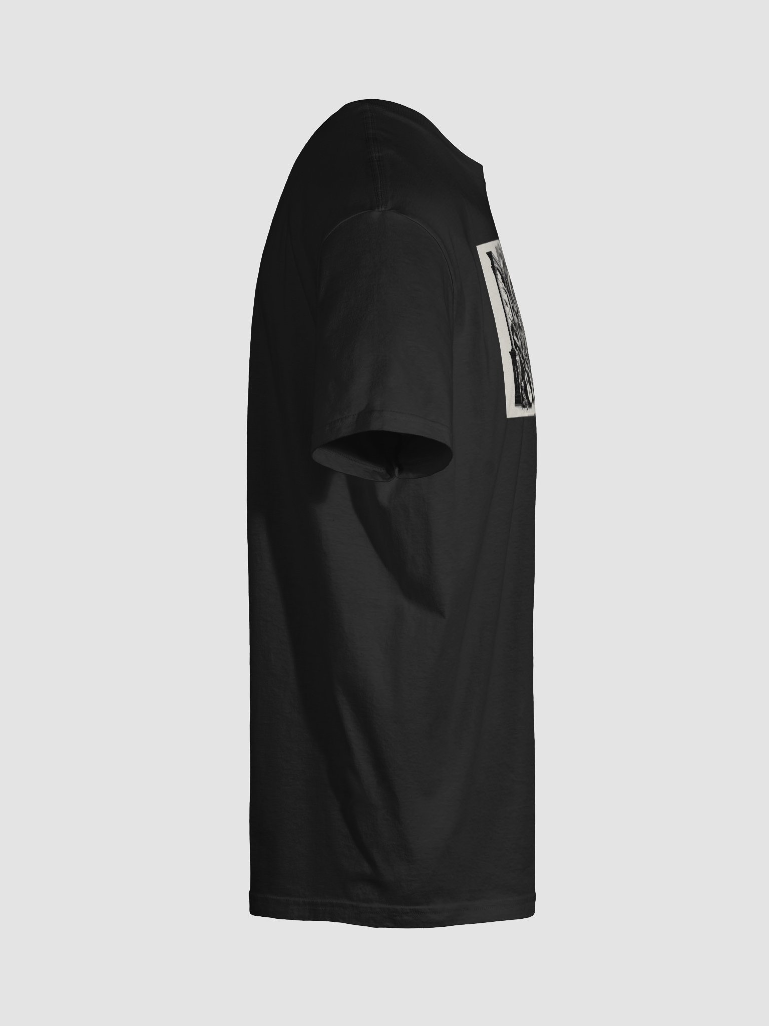 Dragon 12 product image (30)