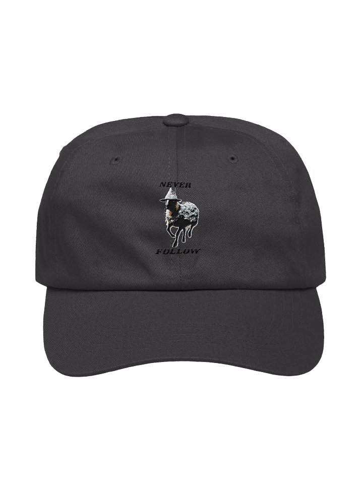 Webs & Shadows Black Sheep Dad Hat product image (1)
