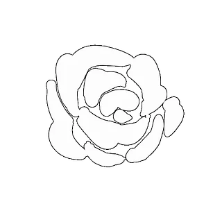 primrosevt