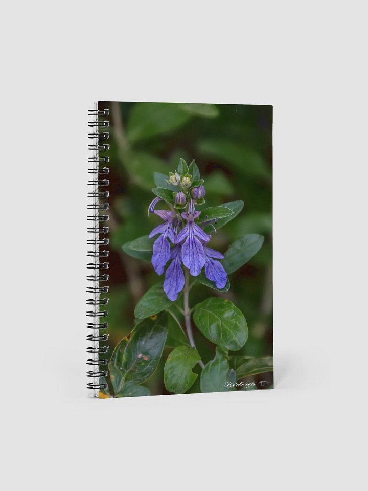 📘 Notebook Collection PURE – Jardin du Rayol – Germandrée arbustive product image (1)