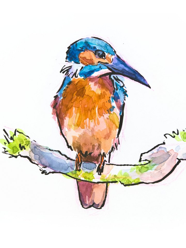 Kingfisher - Digital Image File Download product image (1)