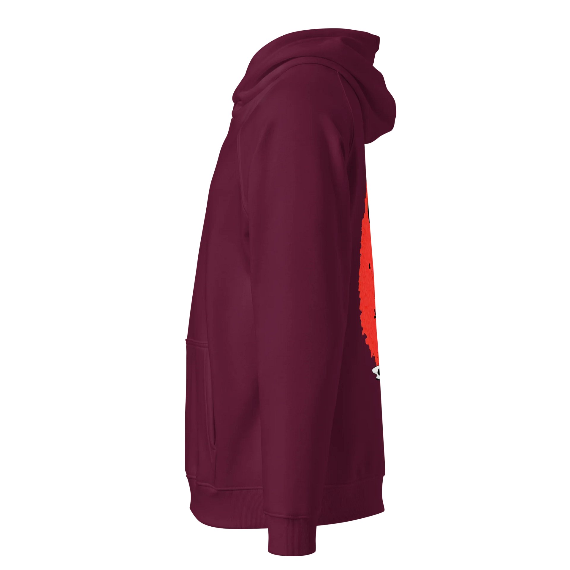 SOL'S Unisex Eco Raglan Hoodie product image (3)