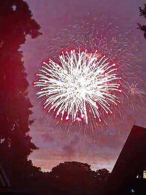 Happy 4th of July! #wdw #4thofjuly #traveltok #fyp
