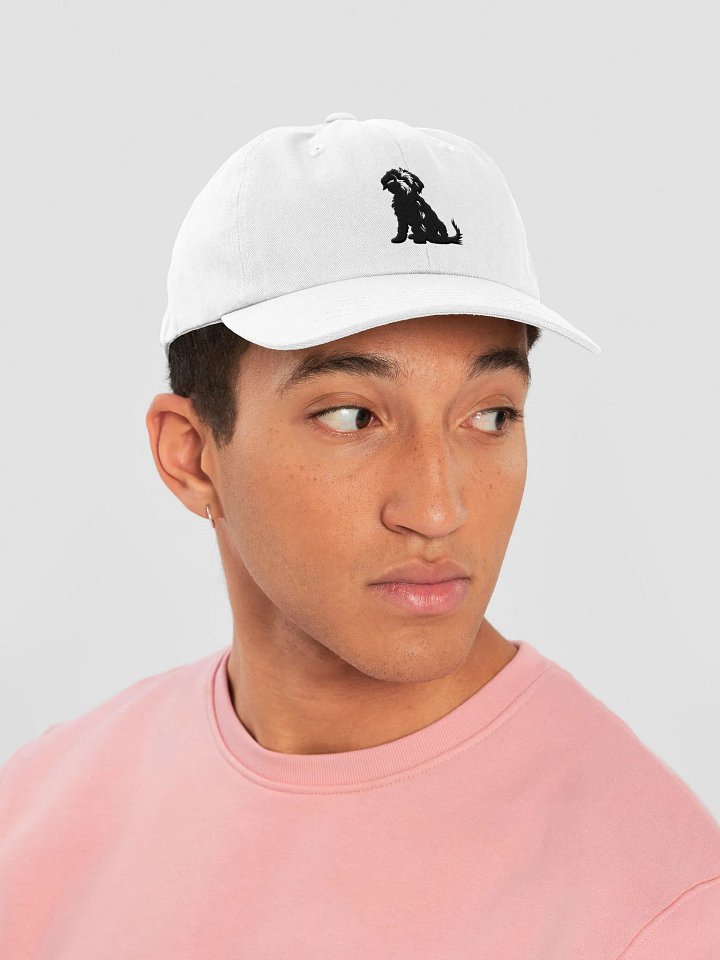 Embroidered "Doodle" Dad Hat product image (1)