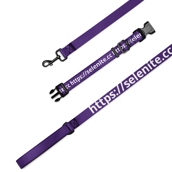 Selenite Leash and Collar product image (1)
