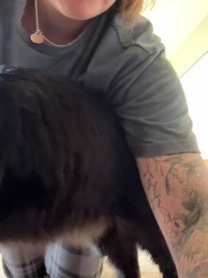 Wrestling my son was not what I planned on doing this early in 2026 #urinaryblockagecat #malecat 