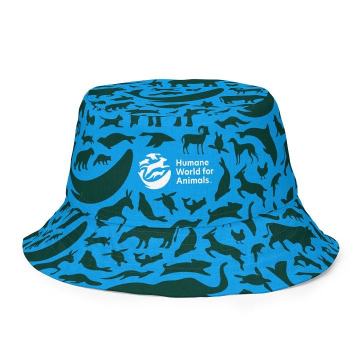 Reversible bucket hat with Animal Print product image (1)
