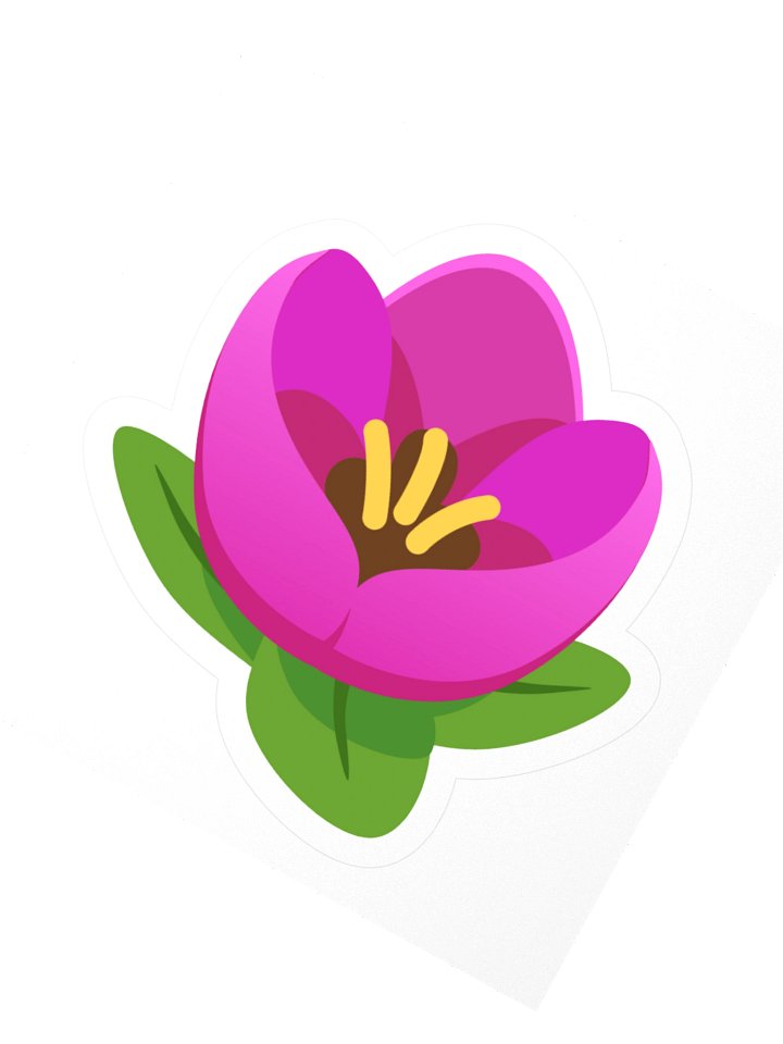 Tulip product image (2)