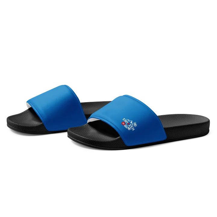 Switzen Slides ( Drive ) product image (1)
