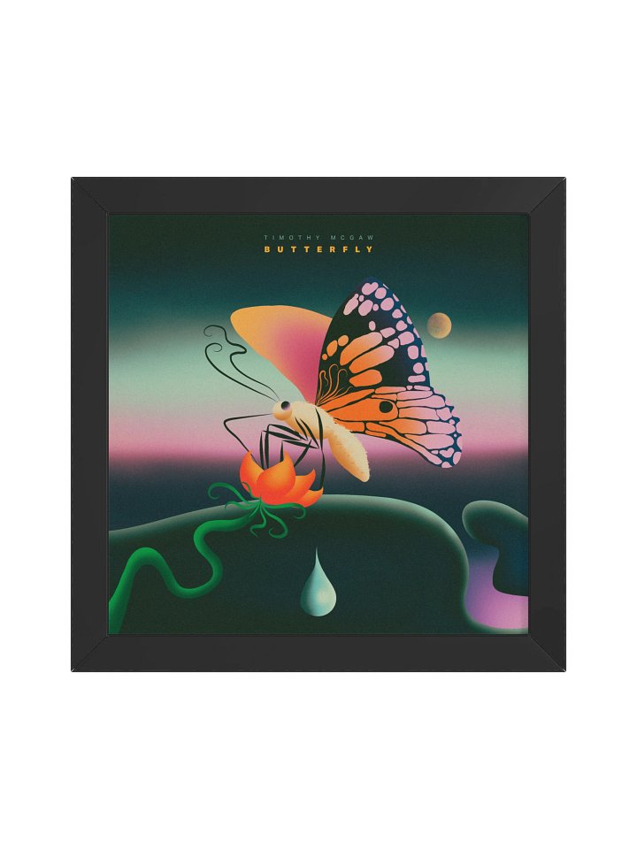 Framed Butterfly cover art product image (1)