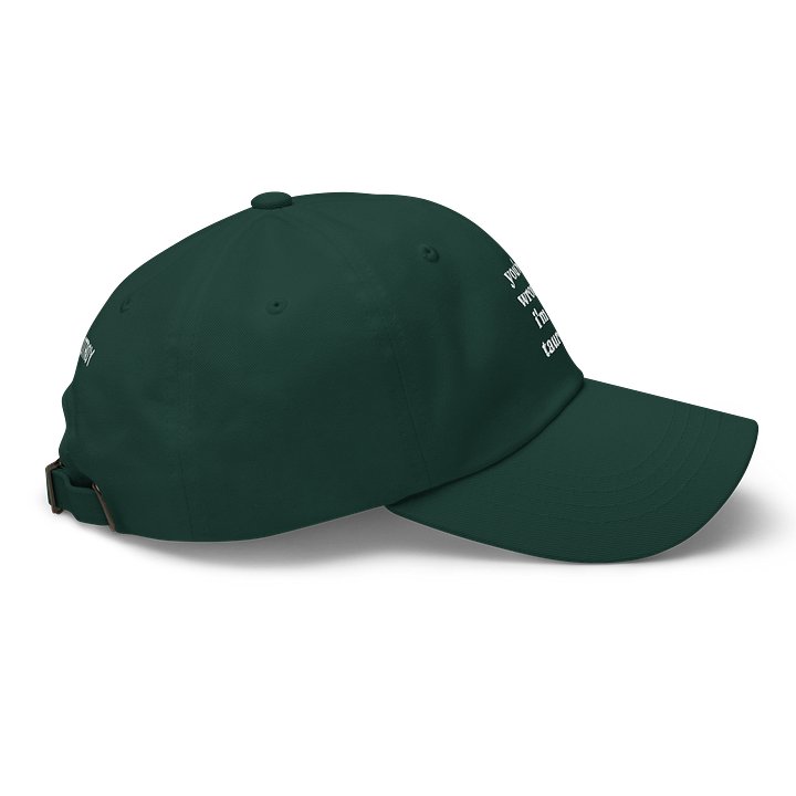 you're wrong taurus embroidered cap product image (51)