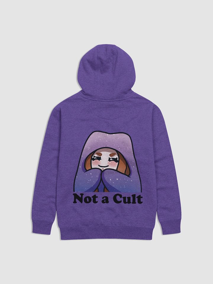 NOT a cult unisex hoodie product image (11)