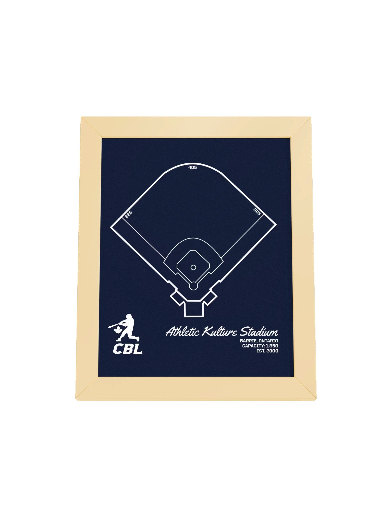 Barrie Ballpark Print product image (25)