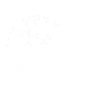 Steph fa fa