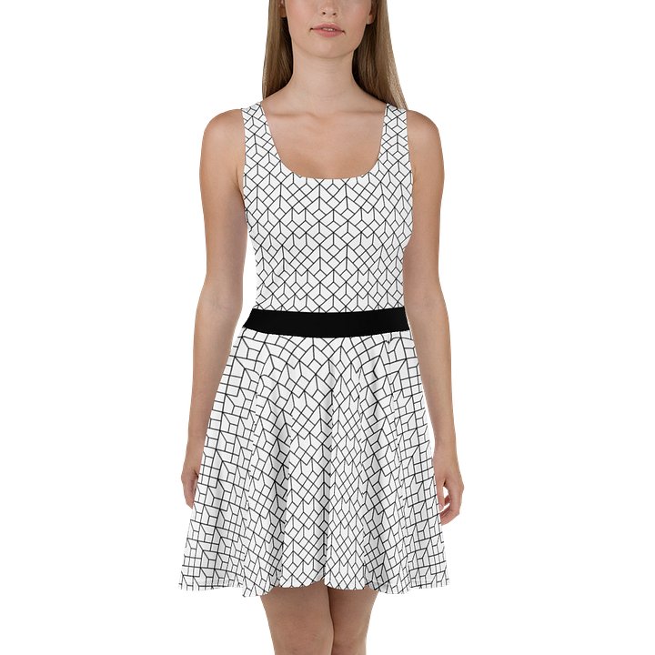 Black & White Mesh Pattern Geometric Dress product image (1)