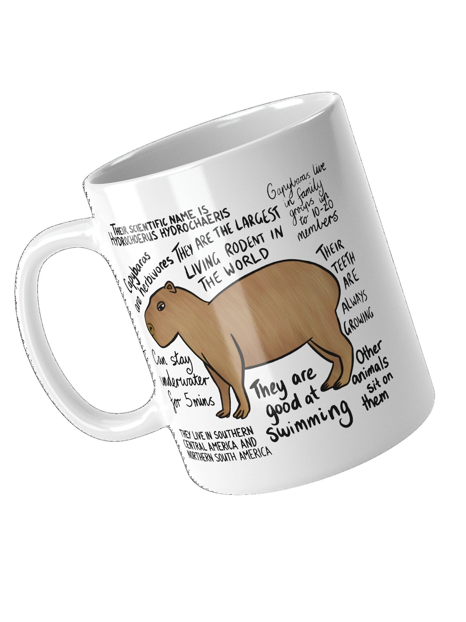 Capybara Facts Mug product image (11)