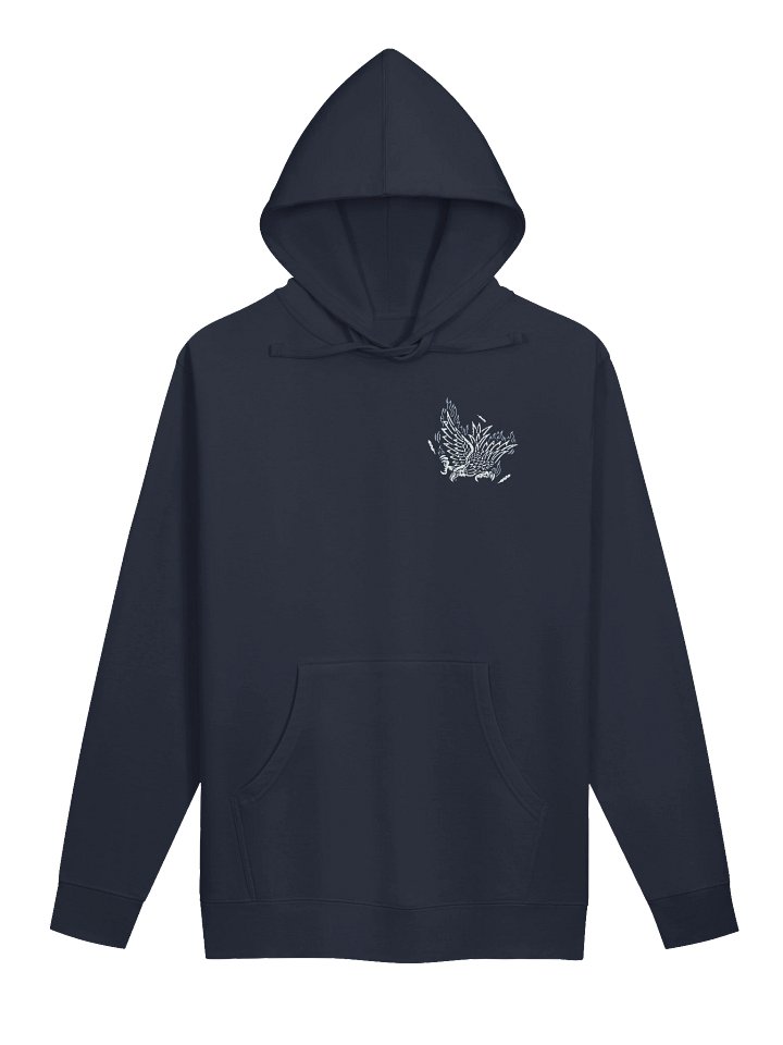 America Is In Distress - BB x ITC Hoodie product image (2)