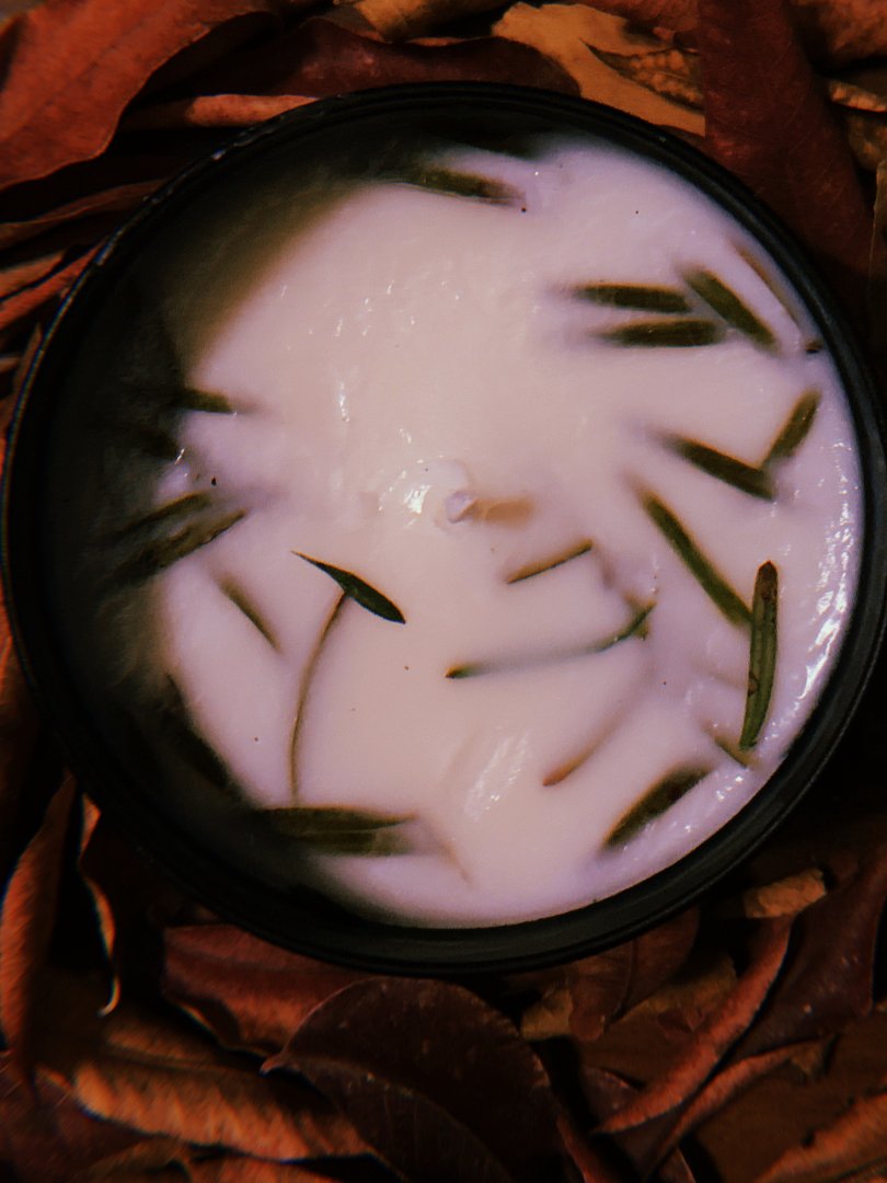 Eucalyptus Pine Candle (4oz) product image (2)