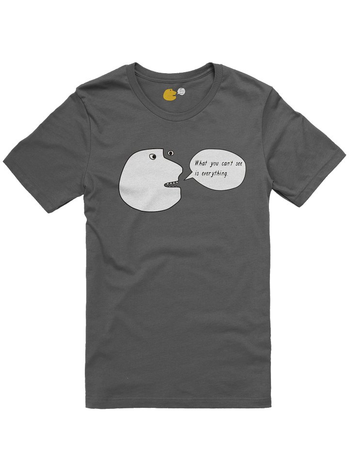 What You Can't See Is Everything product image (37)
