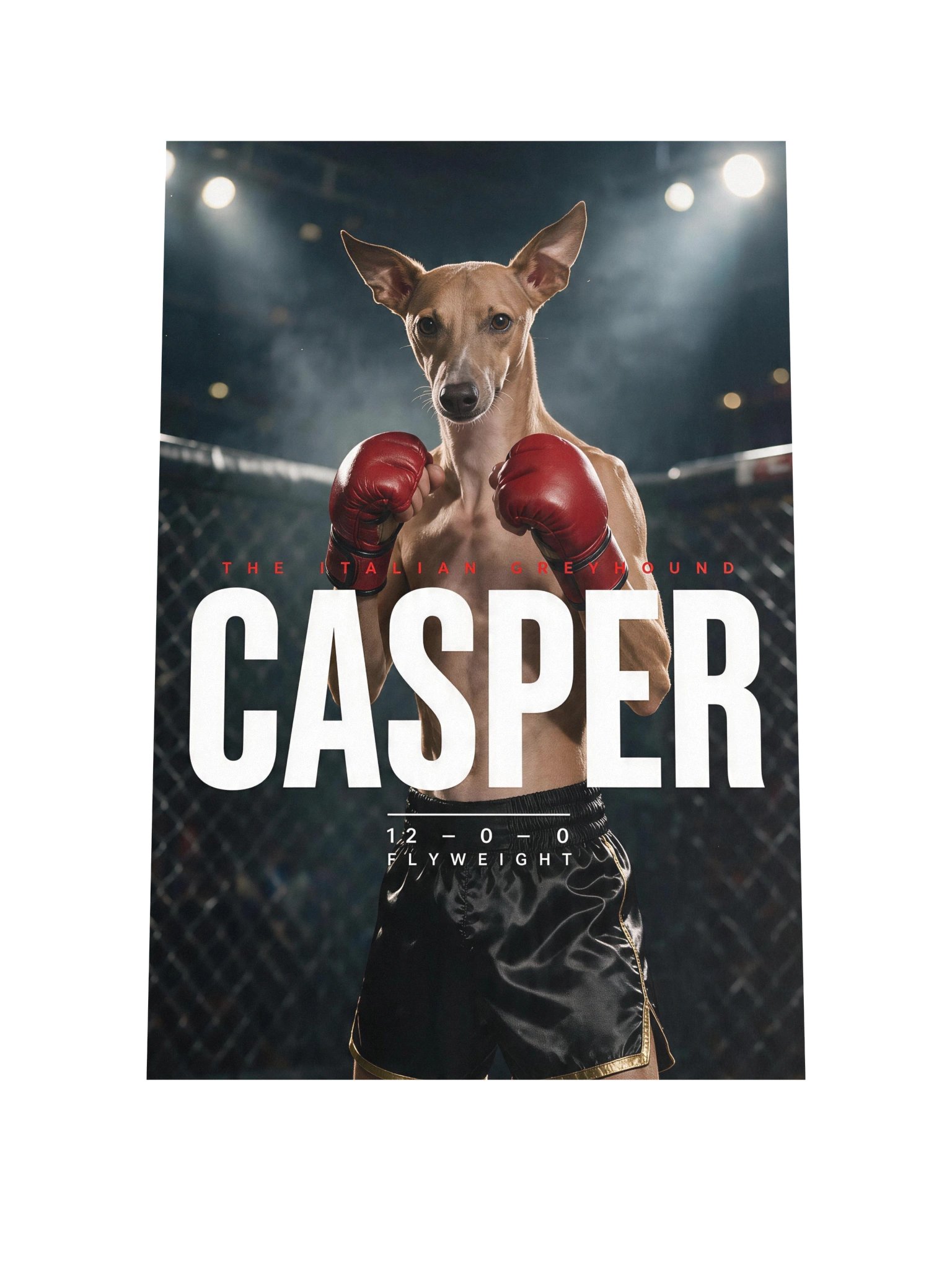 Fight Poster product image (1)