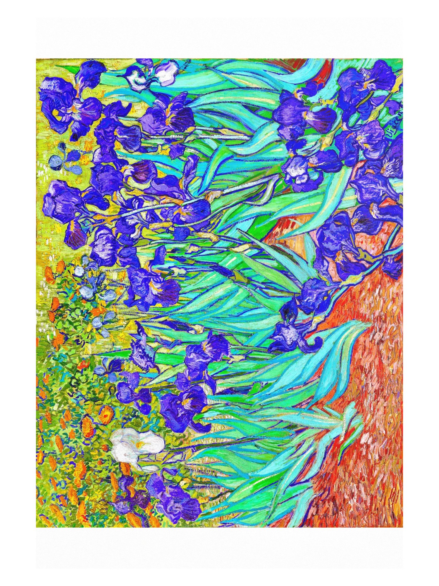 Irises — XLarge Poster product image (1)