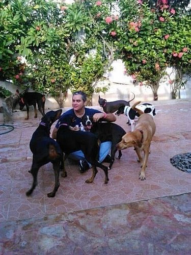 Remembering the awesomest pack ❤️

#chicathedoberman #dogsarethebest #doberman #pitbull #mexicanhairless m