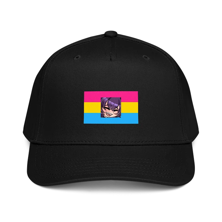 Cyn's Pansexual Hat product image (1)