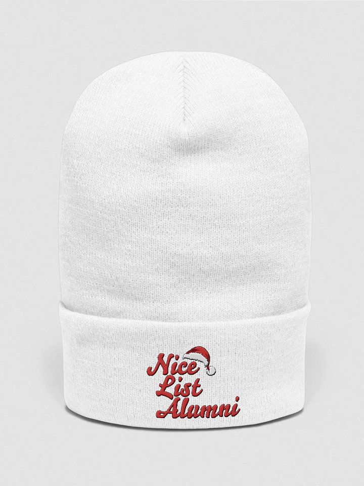 "Nice List Alumni: Nice by Nature, Alumni by Tradition" Bennie Hat product image (1)