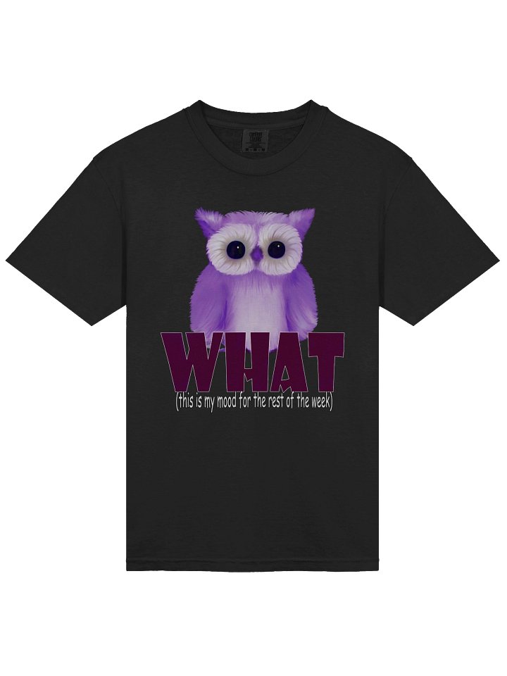 Men's Comfort Colors Garment-Dyed Heavyweight T-Shirt product image (2)