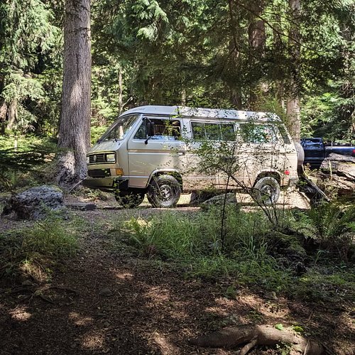 Who's that I see in the trees? Dang that's my Westy!

#vanagonwestfalia  #vanagon #vanagonTribe #vwvanagon #vw  3dprintedVW  ...
