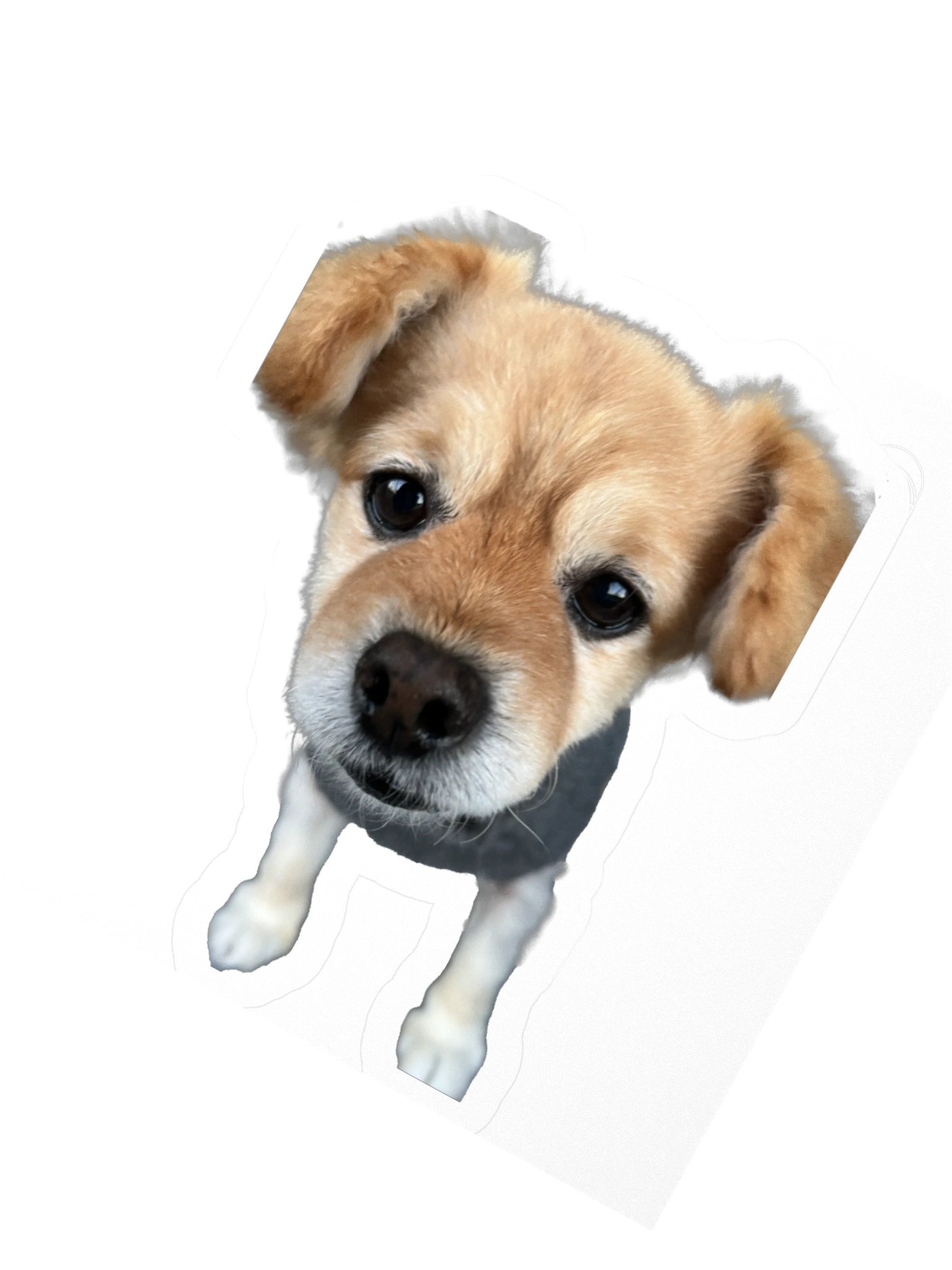 Concerned for You product image (6)