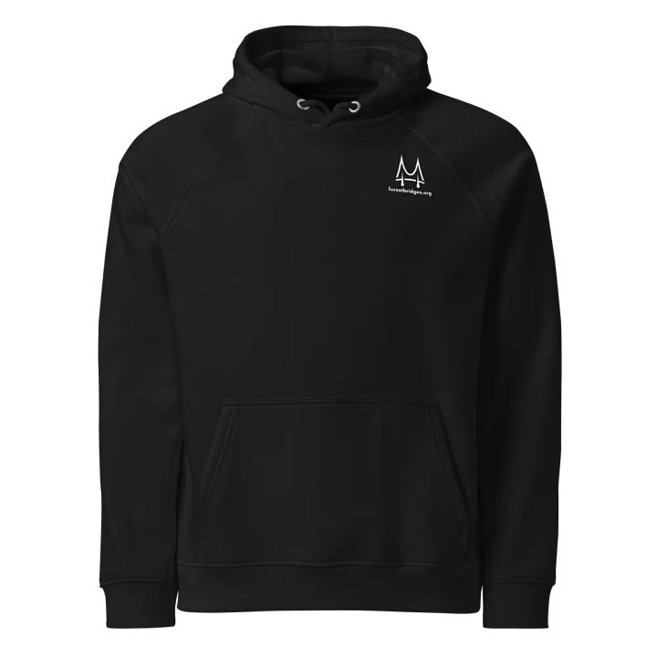 Forest Bridges Fall Colors Hoodies with Greyscale Logo & Emblem on Back product image (1)