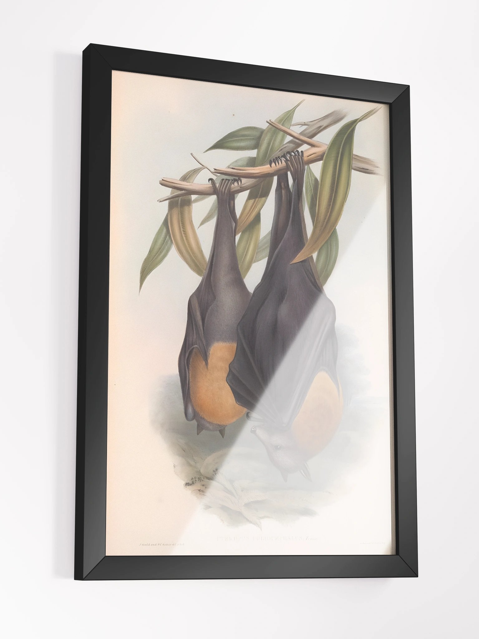 Framed Print - Gothic Halloween Decor 'Midnight Flight' product image (3)