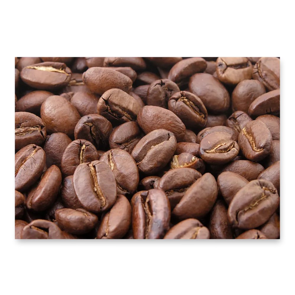 Roasted Reverie Wrapping Paper Set product image (10)
