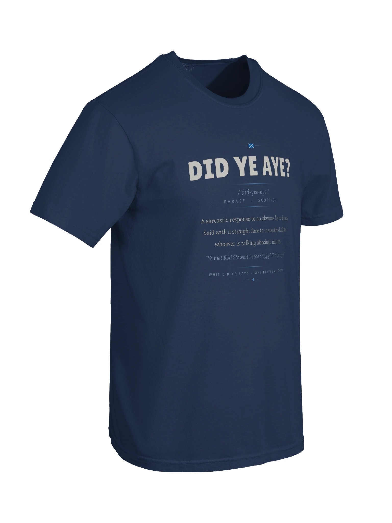 DID YE AYE? — The Dictionary Definition Tee product image (3)