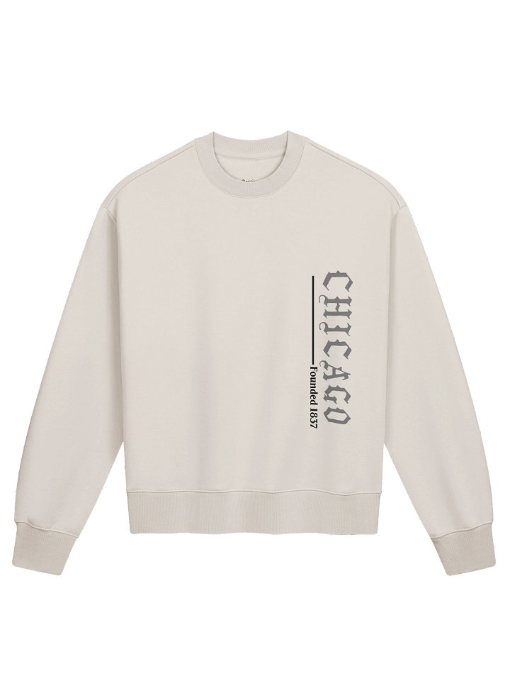 Destiny CHICAGO Vibes Heavy Crewneck product image (3)