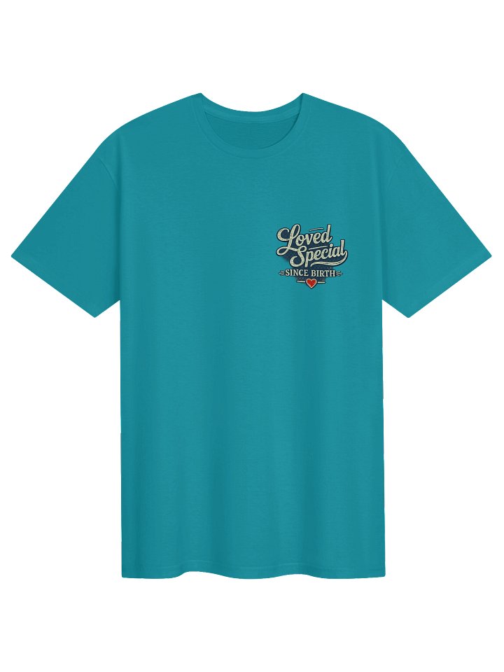 Loved & Special Since Birth Tee product image (1)