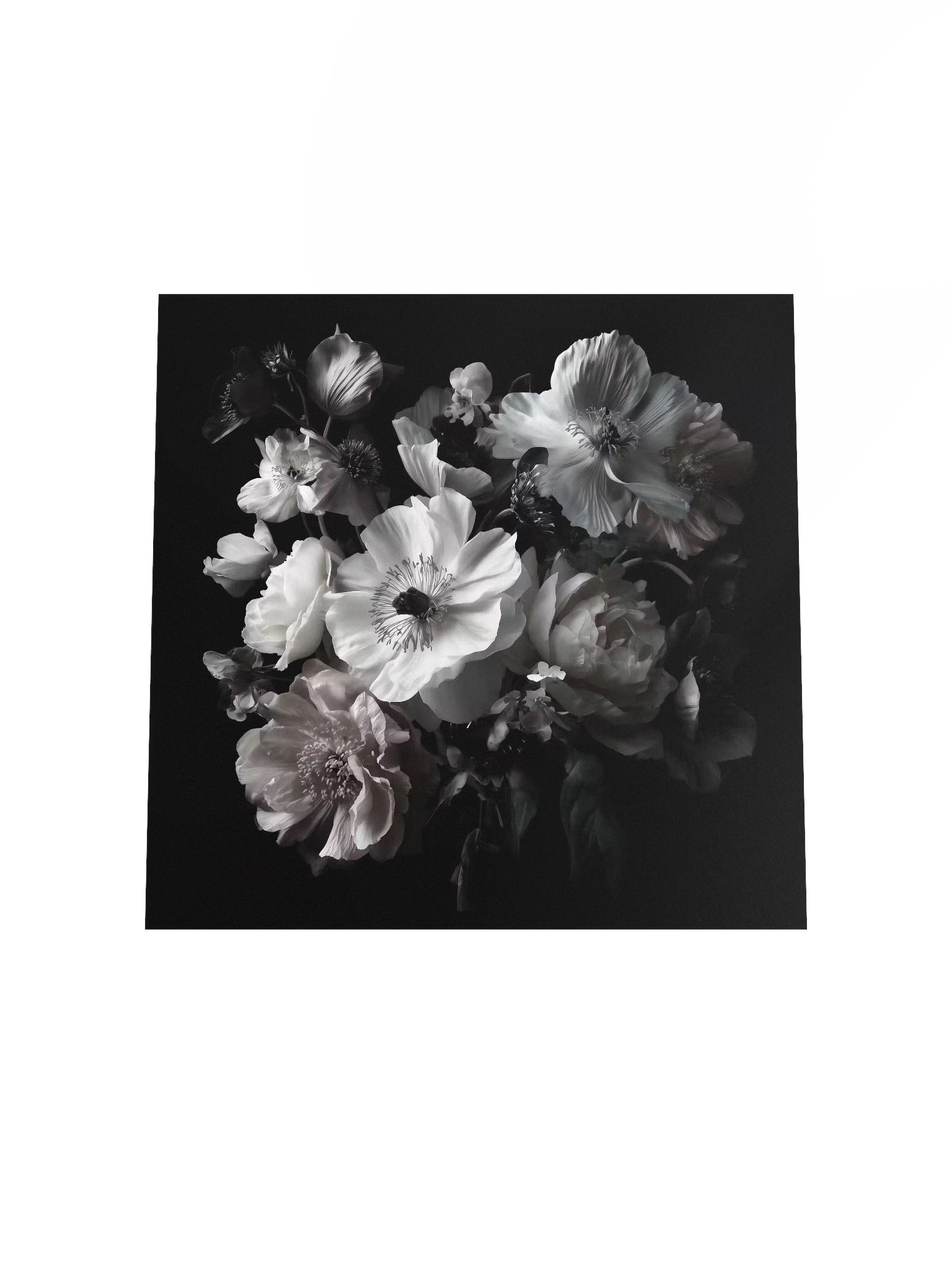 Carbon Bloom III — Quiet Choir - Fine Art Print product image (4)