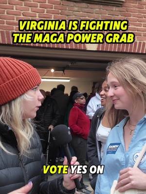 VIRGINIA! Election day is THIS TUESDAY! We have a chance to stop Trump and the MAGAs from rigging the midterms - make sure you and your loved ones get out and vote YES! #news #psa 