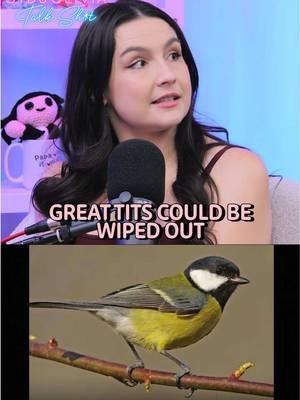 Great tits could be coming to an end 😭😭😭😭 New episode of Syd & Olivia Talk Sh*t out now 