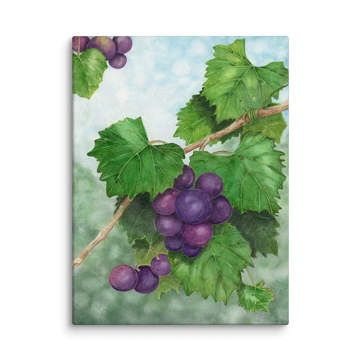 Muscadine Memories product image (2)