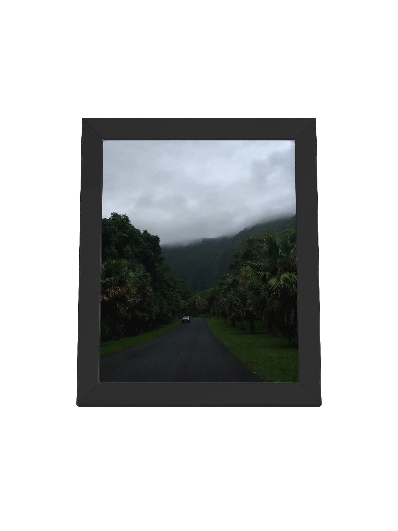 Ho'oaluhia Oahu product image (5)